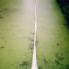 A Way